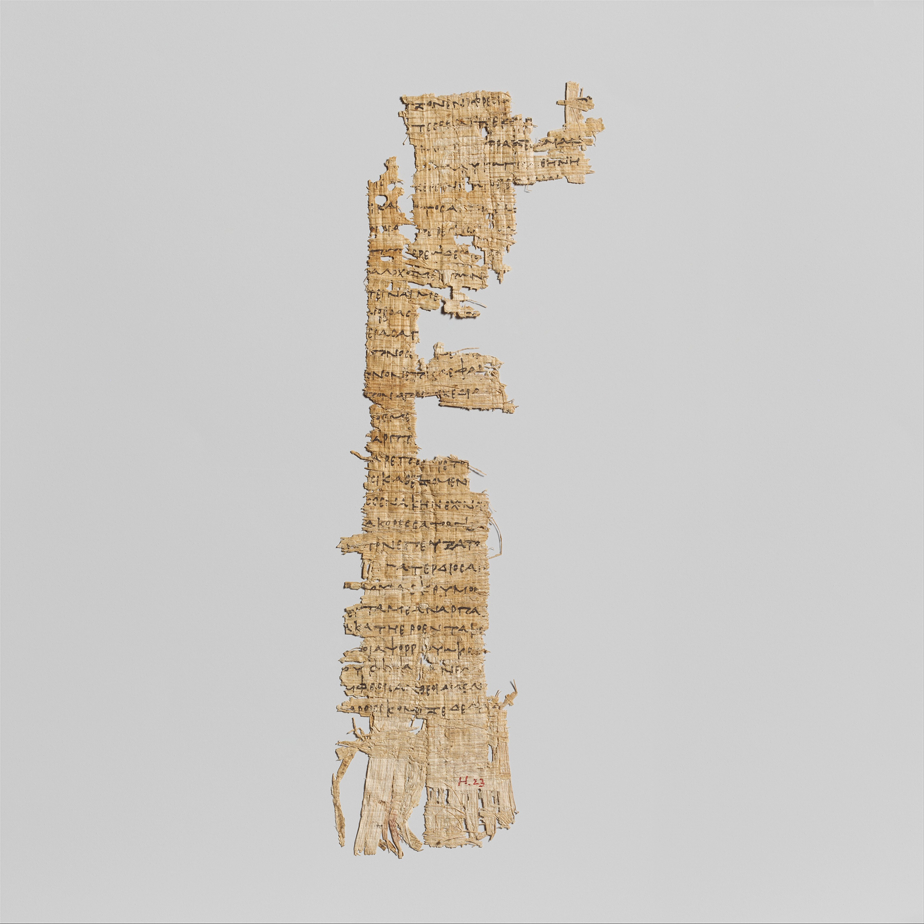 papyrus