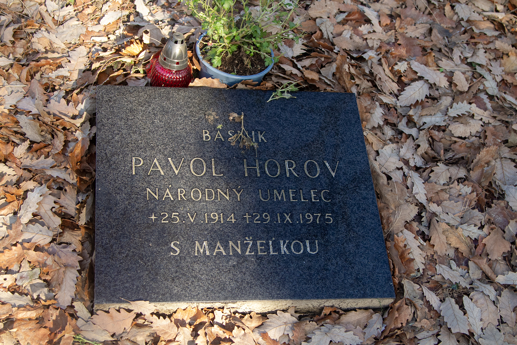 Pavol Horov