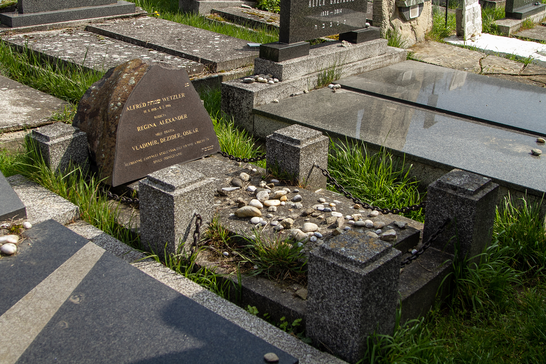 Alfréd Wetzler