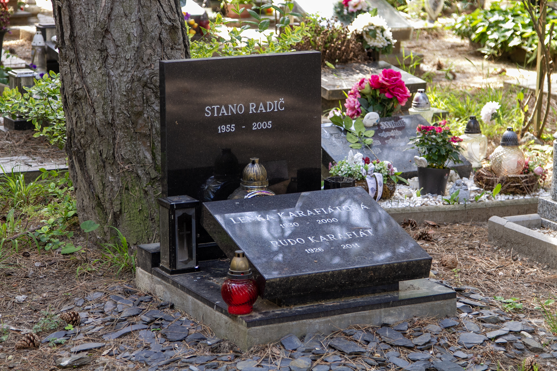Stano Radič