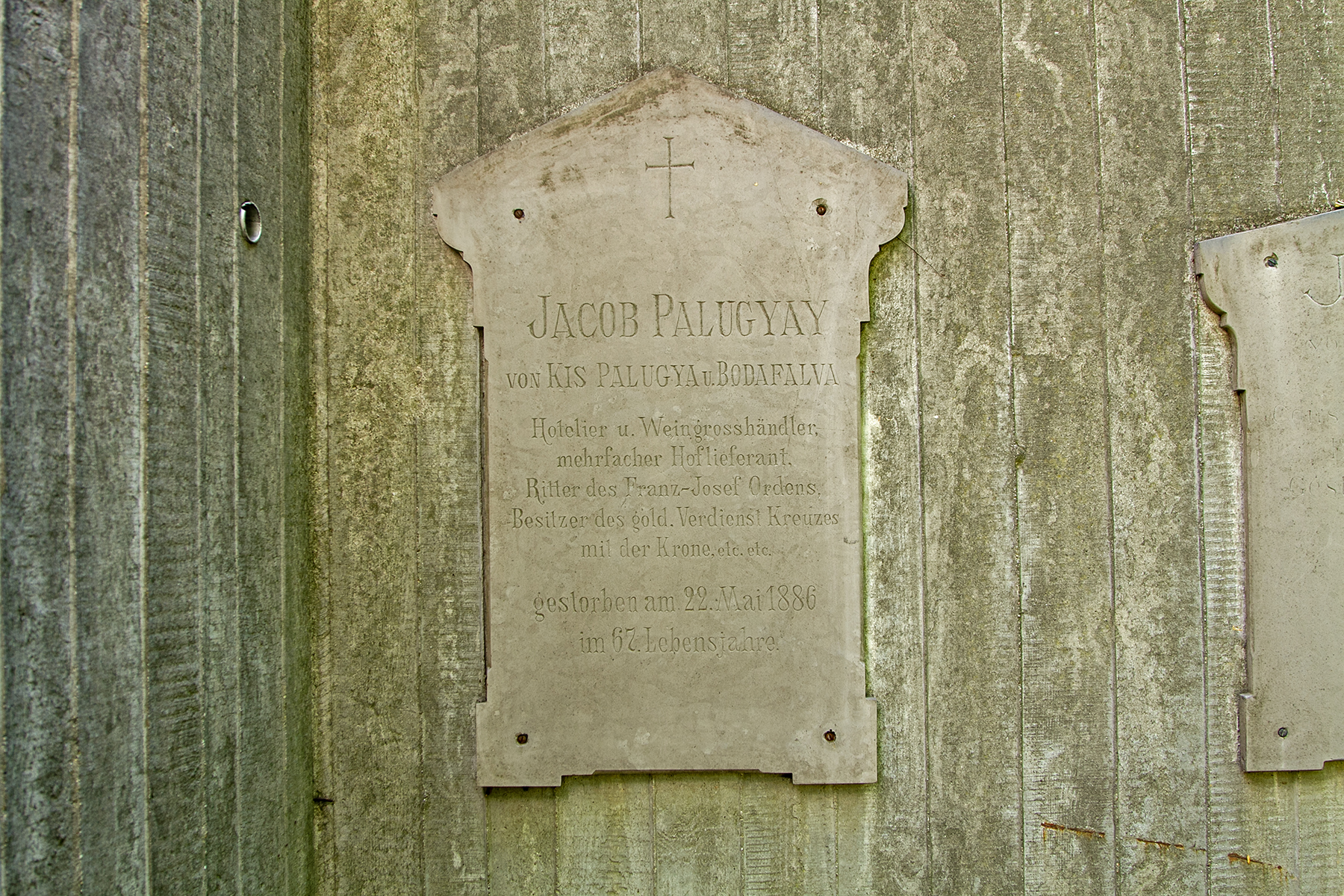 Palugyay Jacob