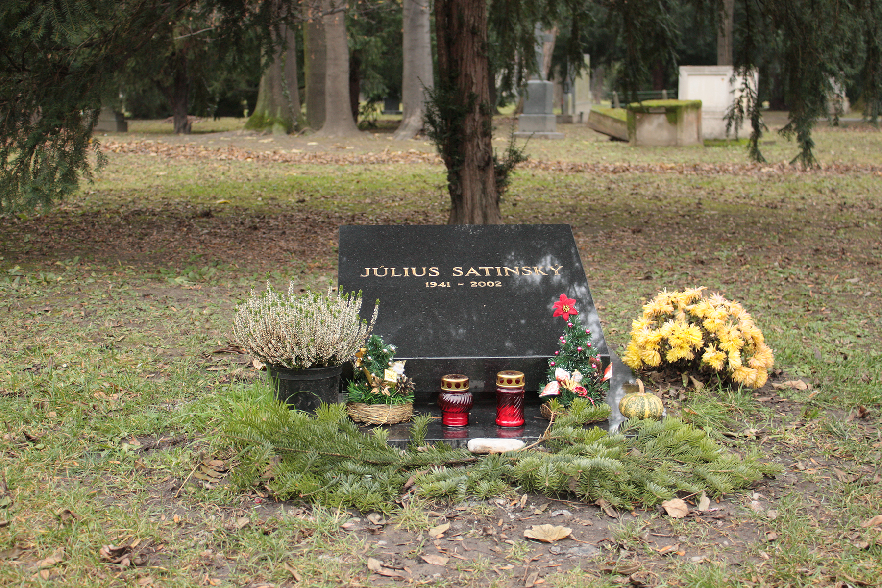 Satinský Július