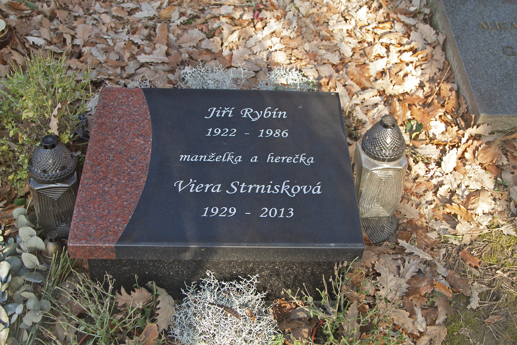 Strnisková