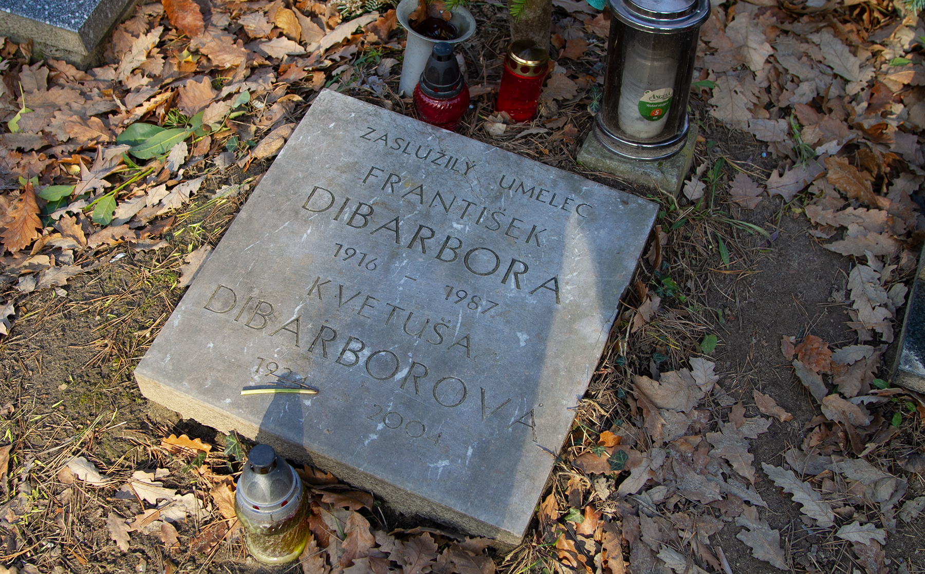 Dibarbora
