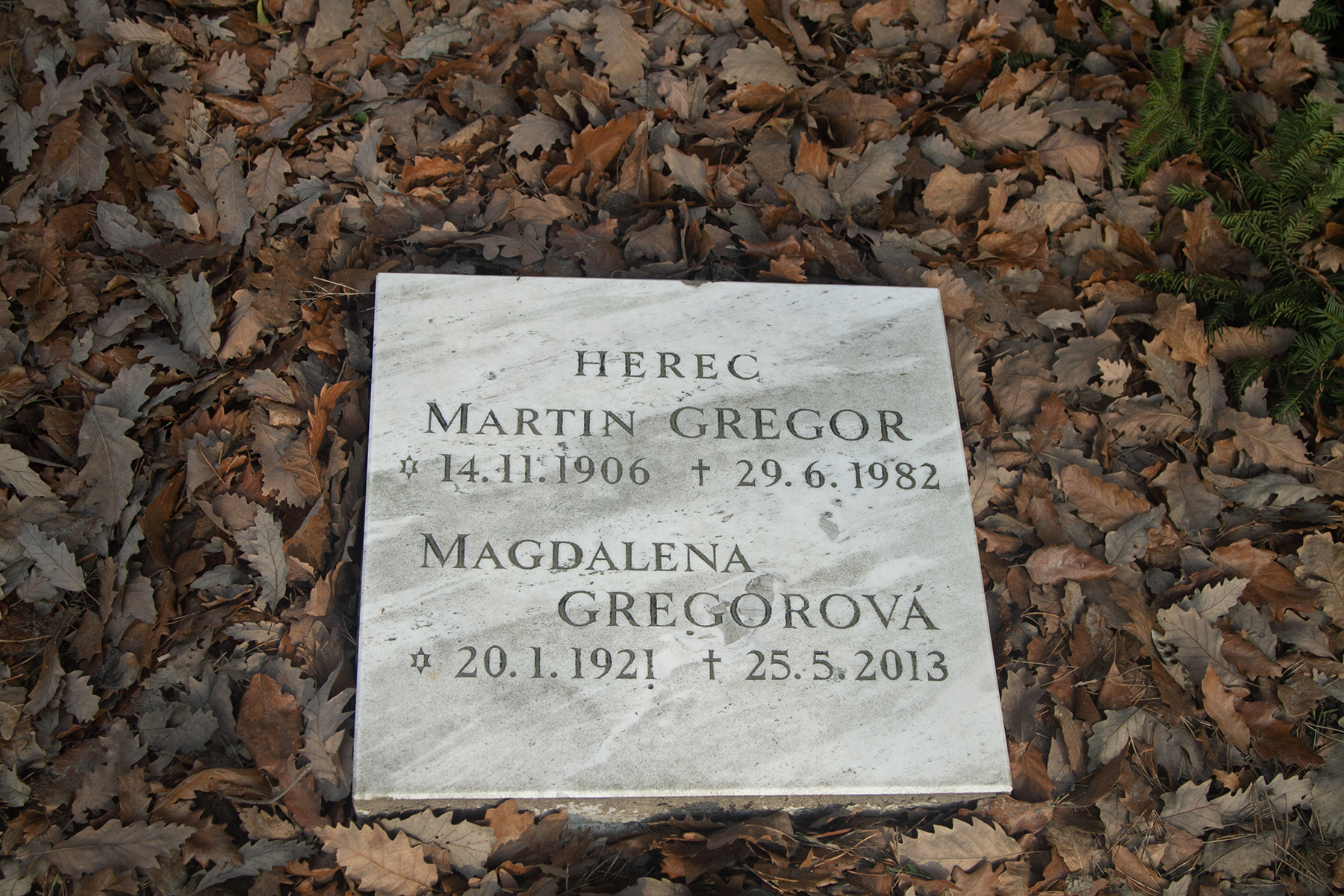 Gregor