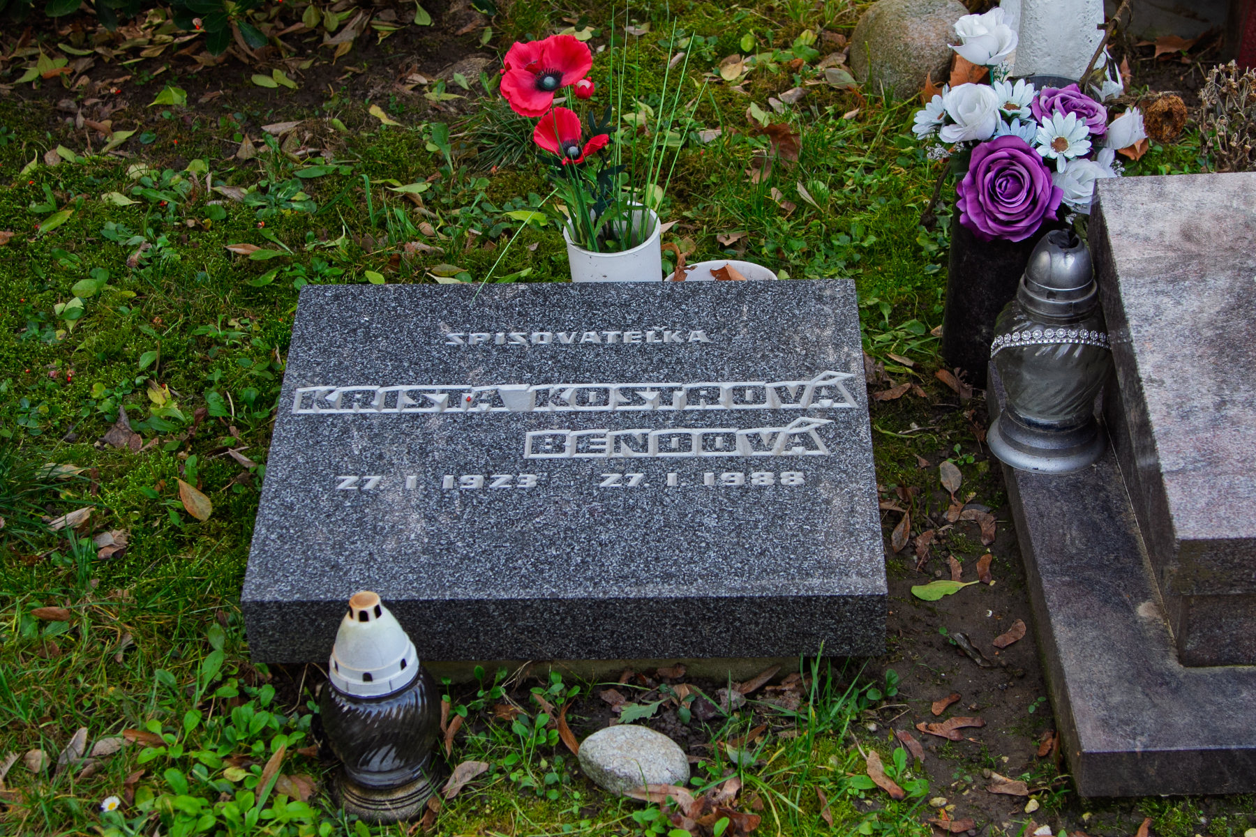 Bendová Kostrová