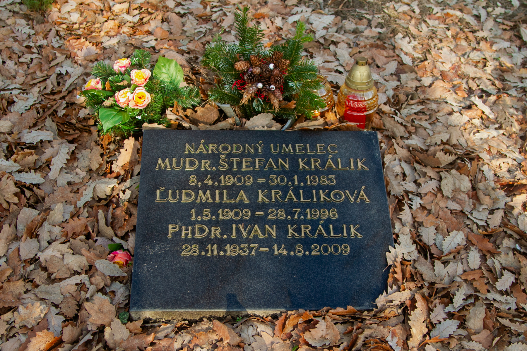 Kralik