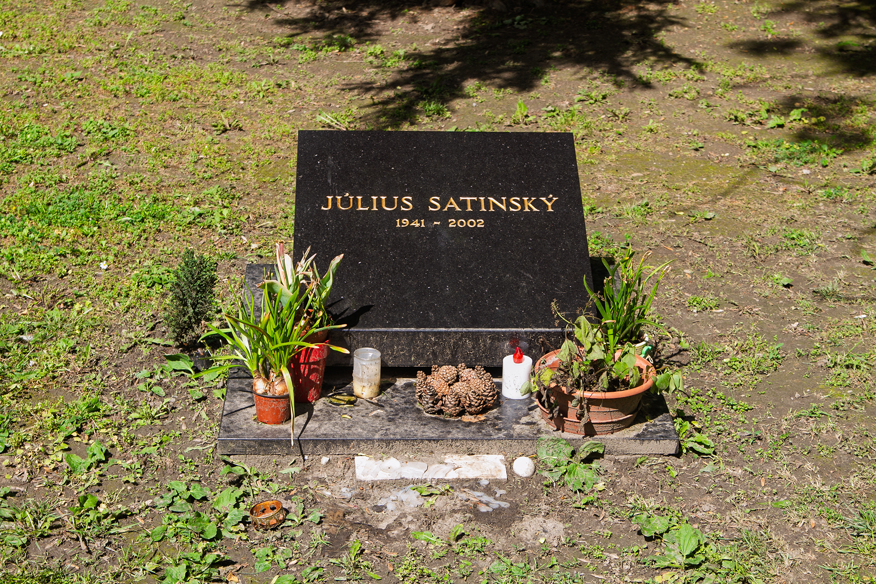 Satinský Július