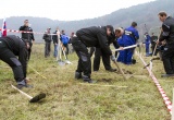 baner1