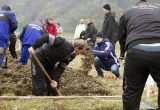 baner1