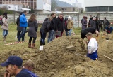 baner1