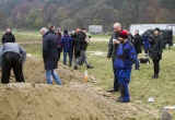 baner1