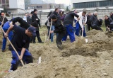 baner1