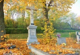 baner1