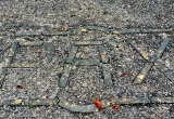 baner1