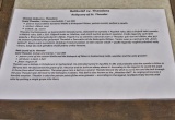 baner1