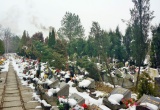 baner1