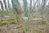 baner1