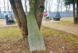 baner1