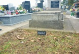 baner1