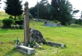 baner1