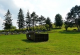 baner1