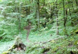 baner1