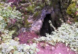 baner1