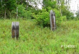 baner1