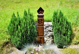 baner1