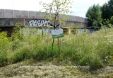 baner1