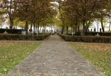 baner1