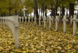 baner1