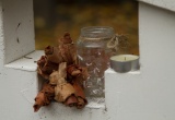 baner1