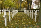 baner1