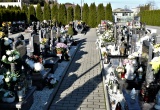 baner1