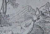 baner1