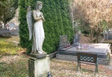 baner1