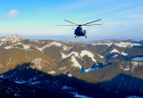 baner1