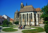 baner1