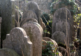 Židovský cintorín na ulici Zlatého muža, odložené náhrobky pri múre cintorína