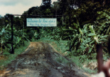 Vstup do Jonestownu, základne sekty Chrám ľudu. (zdroj: wikipedia)