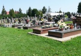 baner1