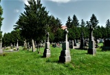 baner1