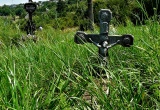 baner1