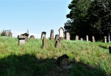 baner1