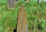 baner1
