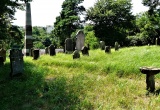 baner1