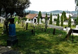 baner1