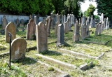 baner1